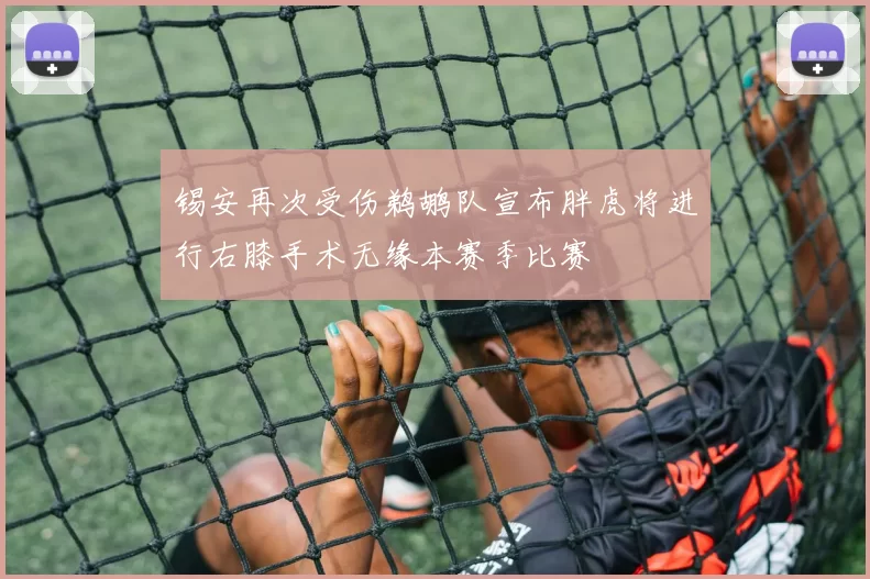 锡安再次受伤鹈鹕队宣布胖虎将进行右膝手术无缘本赛季比赛