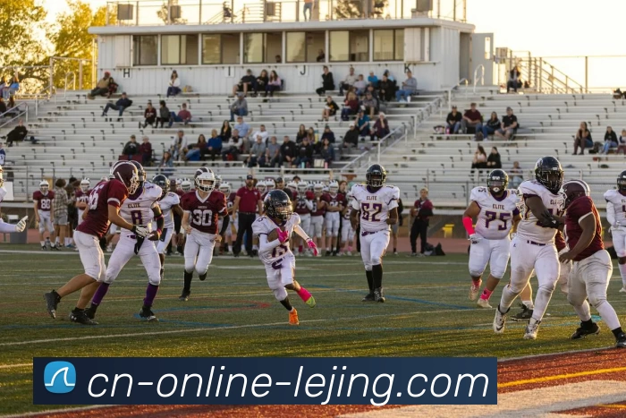 乐竞体育平台生态图